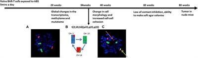 Recurring Translocations in Barrett’s Esophageal Adenocarcinoma